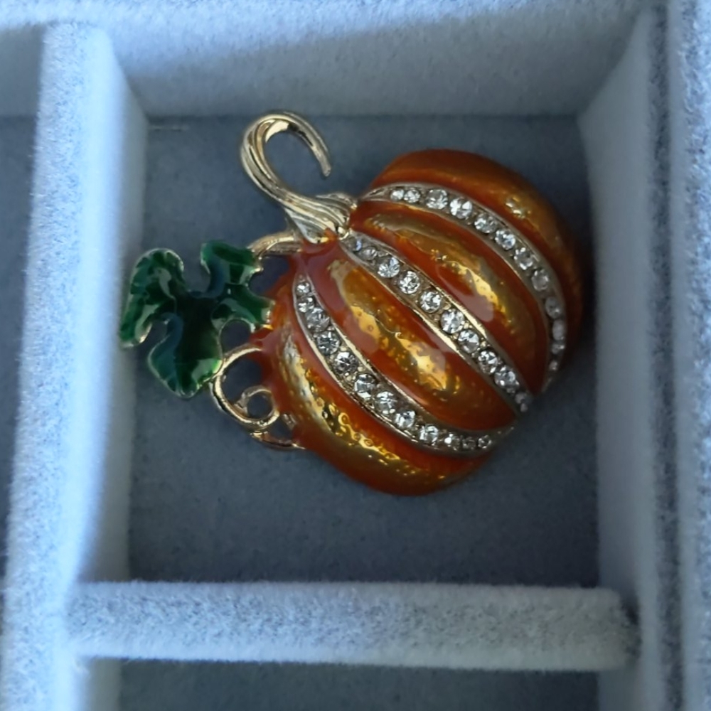 Talbot's pumpkin brooch NWOT